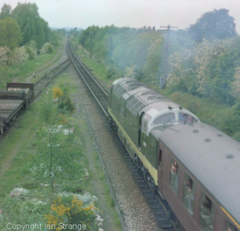 D9019 at Quorn and Woodhouse, 1995.